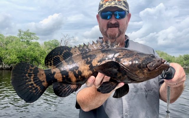 Everglades National Park Fishing Report By Capt. Wright Taylor