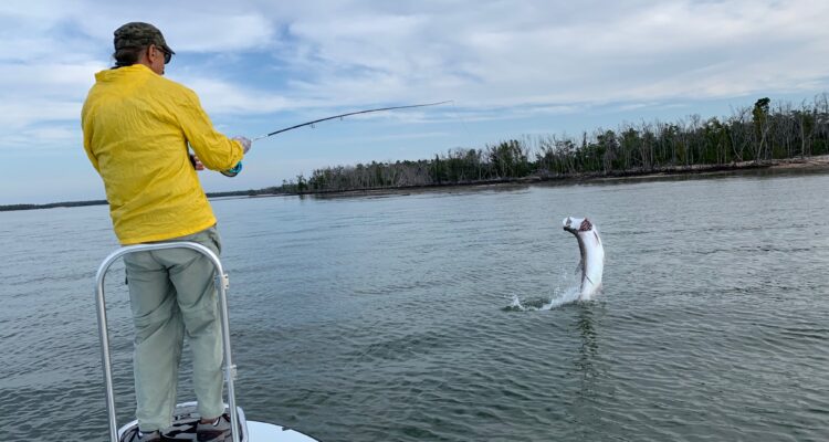 Everglades Tarpon Fishing Report By Capt. Wright Taylor